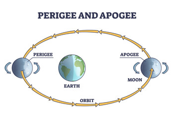 Perigee and apogee moon cycle and orbit around earth outline diagram, transparent background. Labeled educational astronomy process with elliptical planet movement in space illustration. © VectorMine