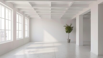 Fototapeta premium Minimalist Empty Room with Grid Ceiling, Plant, and Sunlight, interior design, white walls, contemporary style, open space