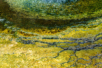 Close-up of the earth surface, Waimangu Volcanic Valley, Rotorua, North Island, New Zealand, Oceania.