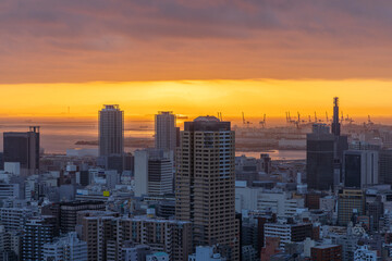 Fototapeta premium 諏訪山公園から眺める神戸の夜明け 神戸市中央区ビーナスブリッジにて