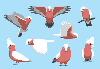 Galah Bird Cockatoo Parrot Various Poses Vector Illustration © bullet_chained