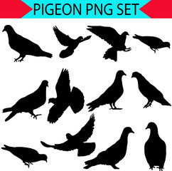 illustration with pigeon silhouettes isolated on white background