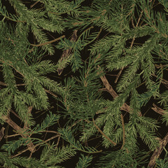 Seamless khaki camouflage pattern with fir twigs with green needles, dry sticks. Forest nature elements. For apparel, fabric, textile, sport goods.
