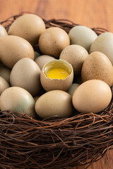 Fresh button quail eggs in a nest on wooden table background.