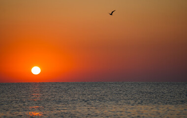 sunrise by the sea. red sky at sunrise. bright sunset with large yellow sun under the sea surface