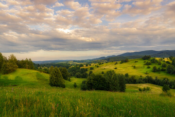 The gentle hills of the Oriental Carpathians