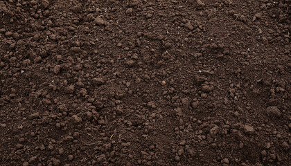 Closeup of dark brown fertile soil texture