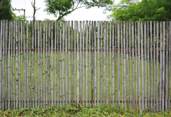 Fototapeta premium Old bamboo fence in the green garden.