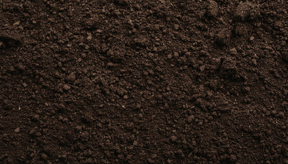 Closeup of dark brown fertile soil texture