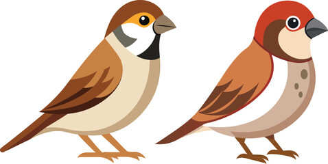 Flat vector image of beautiful bird of Sparrow
