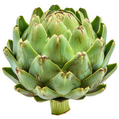 Fototapeta premium Vibrant Green Artichoke Illustration Graphic