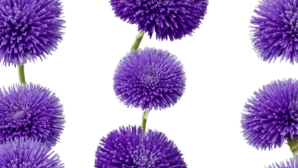 Purple smoke transparent background
