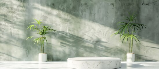 Pedestal Platform display with podium background. Blank Exhibition stage empty product presentation. marble mockup with green plants on light background bamboo, natural light