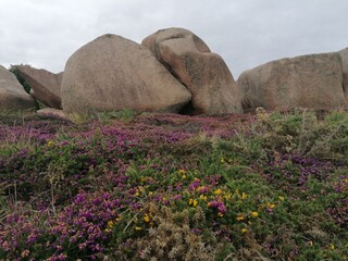 spiaggia di granito rosa