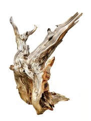 A large piece of driftwood is shown on a white background. The driftwood is long and thin, with a few small branches sticking out of it. The image has a natural and rustic feel
