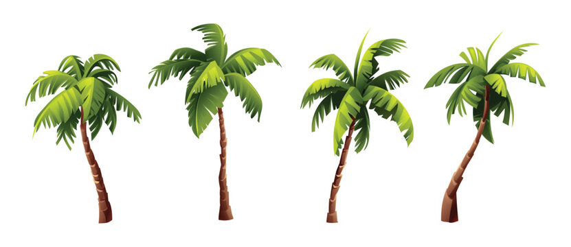 Set of tropical coconut palm tree. Vector cartoon illustration