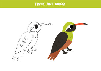 Trace and color cartoon xantus bird. Printable worksheet for children.