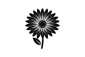 Beautiful African Daisy vector art illustration 