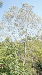 displaying the breathtaking diversity that may be found in mountainous areas. Every image portrays the spirit of nature, from the breathtaking heights of towering mountains to the entertaining antics 