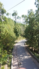 This varied portfolio highlights the rich tapestry of life found in mountainous areas, with images ranging from majestic mountains reaching the sky to amusing monkeys running around among the trees.