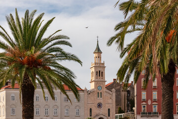 View of church and monastery of St Frane in historic centre in coastal town of Split in Dalmatia, Southern Croatia, Europe. Tourist destination. Mediterranean architecture surrounded by palm trees