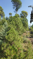 Fototapeta premium This varied portfolio highlights the rich tapestry of life found in mountainous areas, with images ranging from majestic mountains reaching the sky to amusing monkeys running around among the trees.