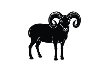  Bighorn sheep  vector artwork illustration