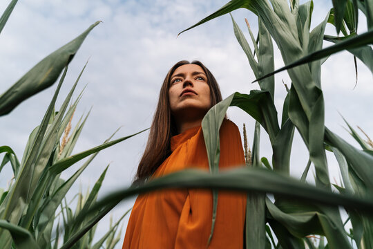 Woman in orange dress enjoying time in a cornfield