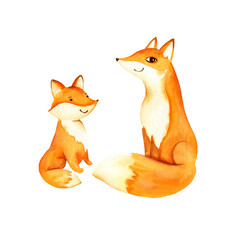 watercolor smiling adult red fox and sitting little fox cub, cute forest animal fox, sketch of cartoon, funny, fluffy animal, illustration on white background, for children posters