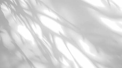 Naklejka premium White abstract background with blurred light and leaves