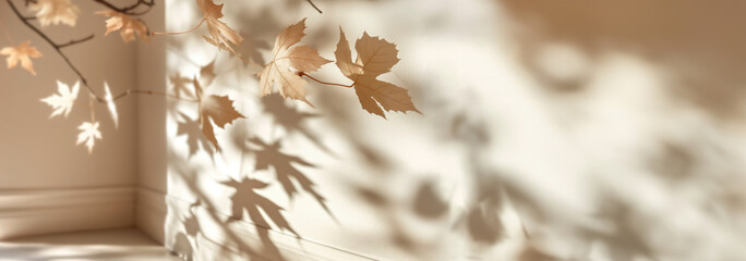 Autumn Leaves Casting Shadows on Sunlit Wall in Serene Interior Space. Autumn nature background with copy space