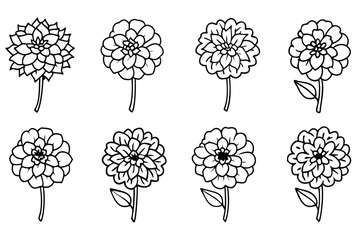 Marigold line art illustration Design Concepts