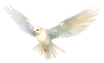 Obraz premium PNG White bird flying animal cockatoo wildlife.