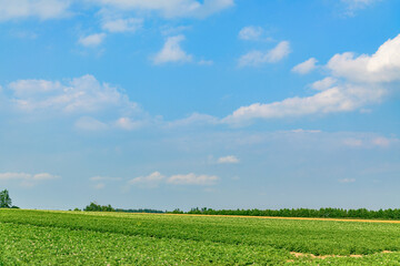 北海道 十勝の広大な農場

