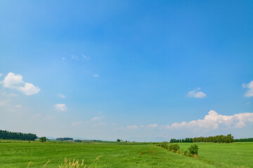 北海道 十勝の広大な農場
