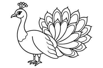 Peacock line art illustration Design Concepts