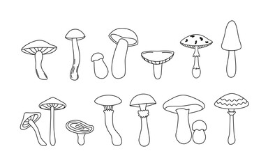Linear vintage groovy mushrooms. Hand drawn line art. Autumn forest. Doodles and stickers. Coloring book. Black and white vector drawing.