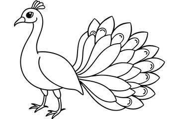Peacock line art illustration Design Concepts