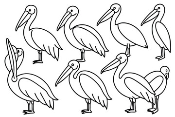 Pelican line art illustration Design Concepts