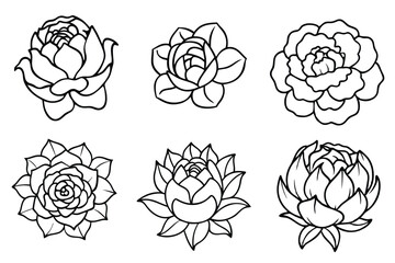 Peony line art illustration Design Concepts