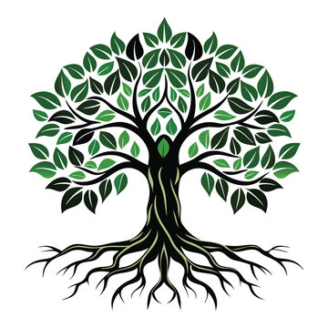 Colourful tree with roots or banyan tree illustration vector art design