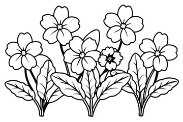 Primrose line art illustration Design Concepts