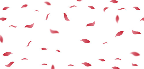 Spring Background fresh with pink theme