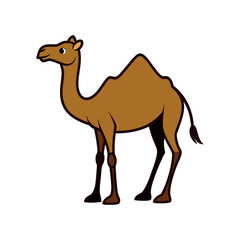 Vector minimalist camel Clipart illustration On a White Background