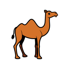 Vector minimalist camel Clipart illustration On a White Background