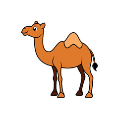 Vector minimalist camel Clipart illustration On a White Background