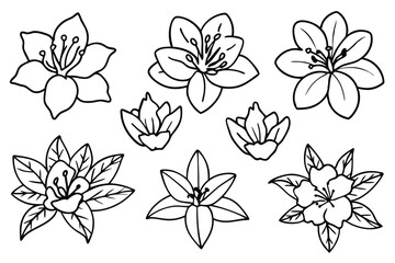 Rhododendron line art illustration Design Concepts