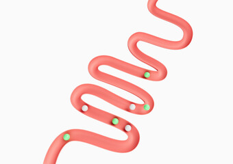 Human Gut Model Digestive System Or Intestinal Tract Mockup With Balls Rolling Down 3D Illustration