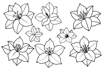 Rhododendron line art illustration Design Concepts