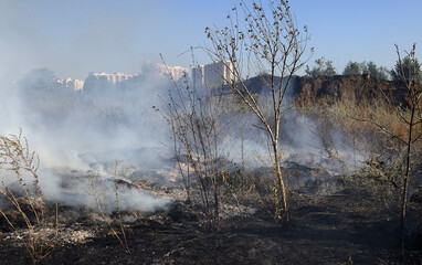 Forest and steppe fires dry completely destroy the fields and steppes during a severe drought....